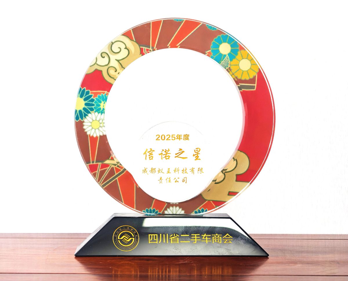 蚁王科技资质背书与实战见证